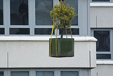 Umzug Lanxess Köln